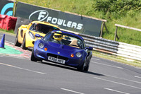 LOTUS 0845