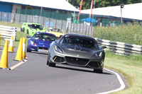 LOTUS 1084