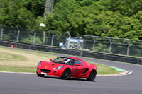 LOTUS 0393