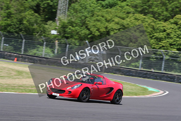 LOTUS 0393