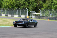 LOTUS 0256