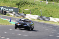 LOTUS 1416