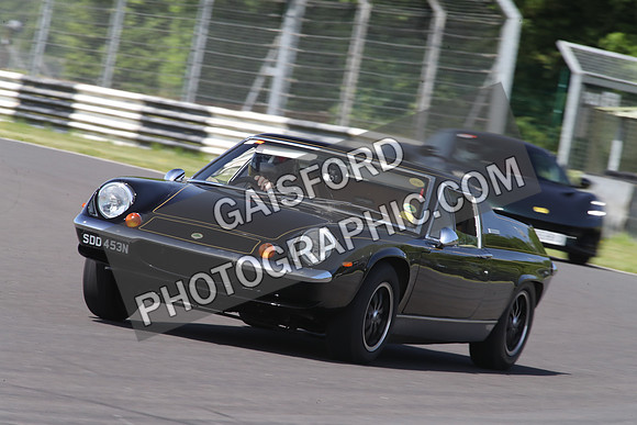 LOTUS 1491