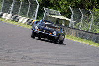 LOTUS 1499