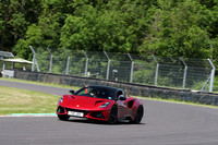 LOTUS 0351