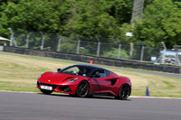 LOTUS 0386
