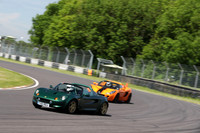 LOTUS 0433