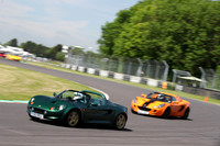 LOTUS 0434