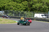 LOTUS 0449