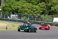 LOTUS 0450