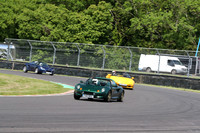 LOTUS 0475