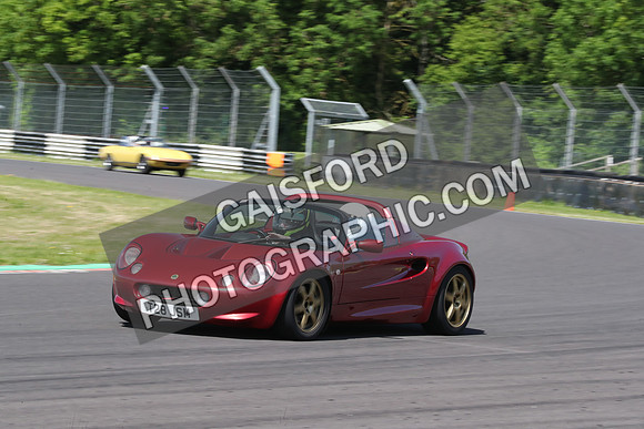 LOTUS 0267