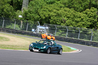 LOTUS 0444