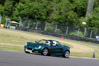 LOTUS 0445