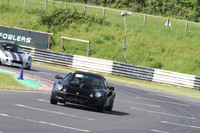 LOTUS 1428