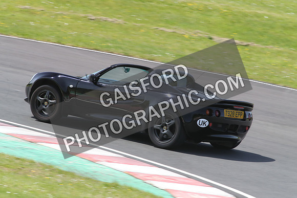 LOTUS 2382