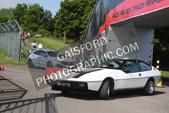 LOTUS 0146