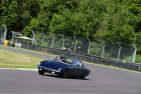 LOTUS 0363