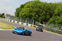 LOTUS 0441