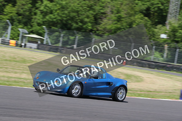 LOTUS 0481