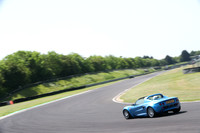 LOTUS 0497