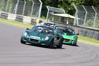 LOTUS 1554