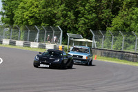 LOTUS 0415