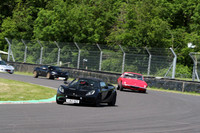 LOTUS 0339