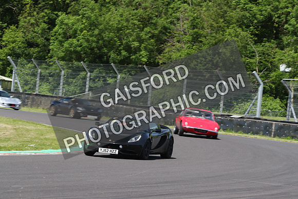 LOTUS 0339