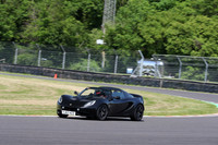 LOTUS 0381