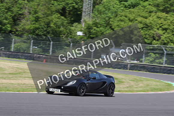 LOTUS 0381