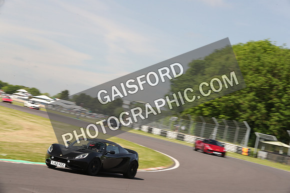 LOTUS 0421