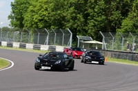 LOTUS 0406