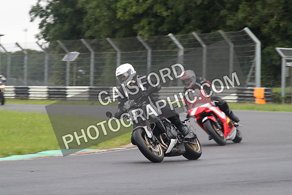 BIKES 1137