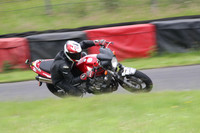 BIKES 1650