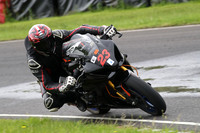 BIKES 1306