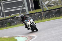 BIKES 0485
