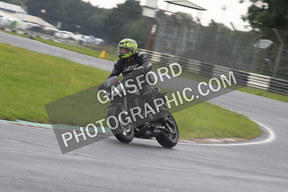 BIKES 1002