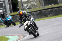 BIKES 0519