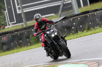 BIKES 0537