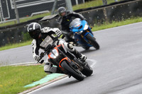 BIKES 0601