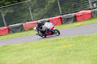 BIKES 1715