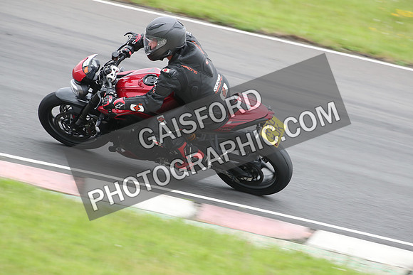BIKES 2010