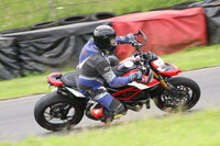 BIKES 1554