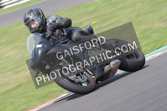 BIKES 0537