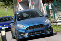 ( Ford Blue )
