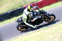 BIKES 0541