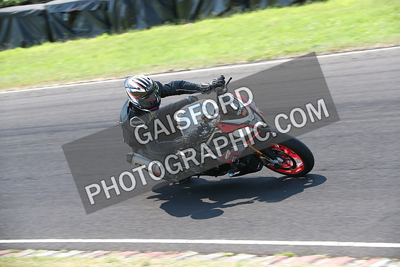 BIKES 0577