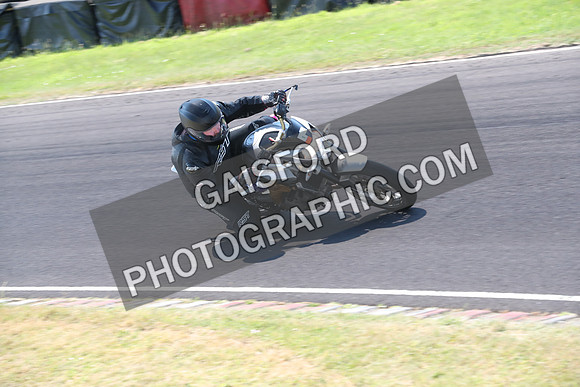 BIKES 0558