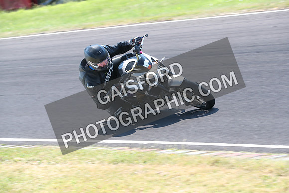 BIKES 0584